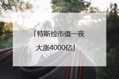 特斯拉市值一夜大涨4000亿